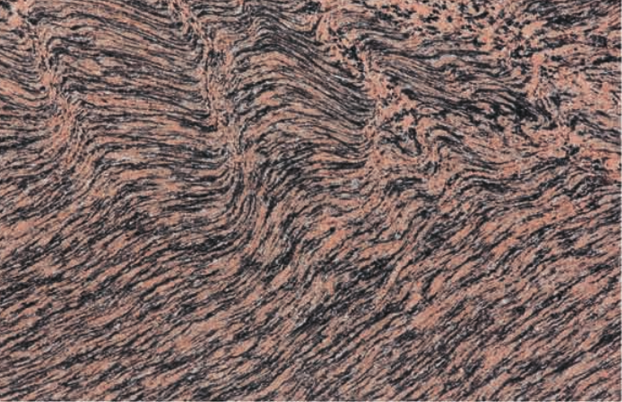 Tiger Skin